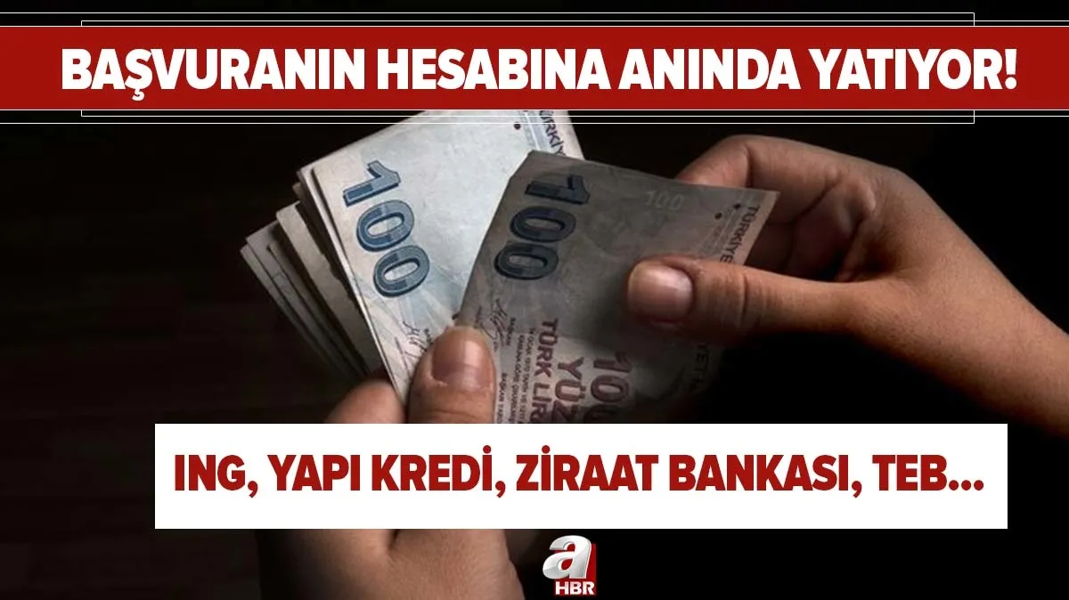 ing yapi kredi teb ziraat bankasi