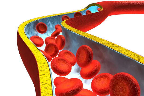 Wayfair ile gündeme gelen adrenochrome nedir, nasıl üretiliyor? Adrenochrome kullanan ünlüler kimler?