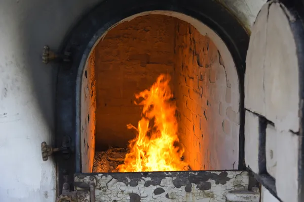 Son dakika:100 cesedin ancak yarısını yakabildik! Mezarlıklar Müdürlüğünden ürküten açıklama