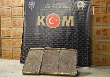Yalova'da 3 milyon adet dolu makaron ele geçirildi