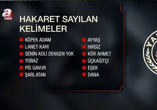 Yargıtay hangi kelimeleri hakaret sayıyor?