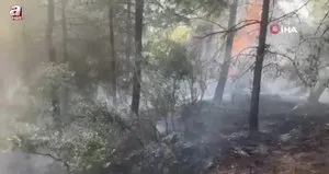 Osmaniye’de orman yangını