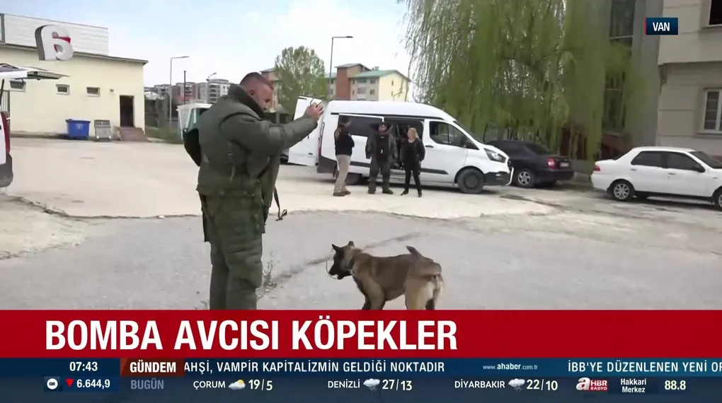 Güvenliğin dört ayaklı kahramanları