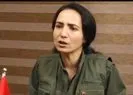 HDPKK’dan Kılıçdaroğlu’na acil yardım çağrısı