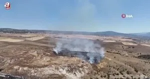 Ot yangınında 3 dönümlük alan zarar gördü
