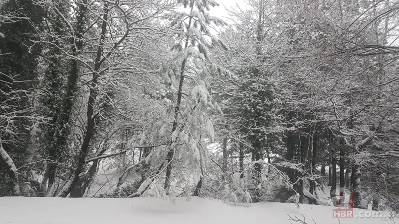 Son dakika: Kar tatili haberi geldi! Bugün bu illerde okullar tatil! 19