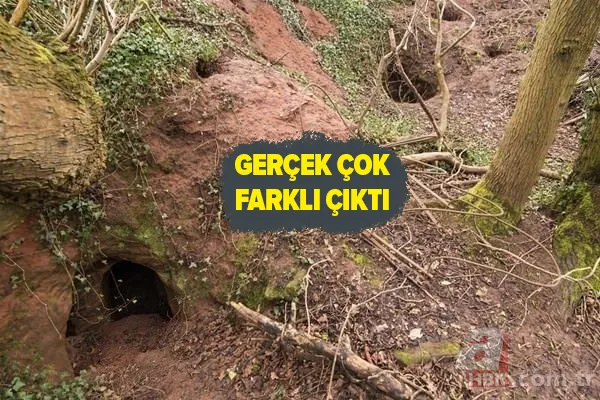 Tavşan yuvasından öyle bir şey çıktı ki! Hayran kaldılar... 1