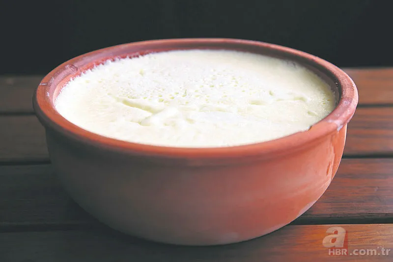 Lezzetli manda yoğurdu nasıl yapılır? | Doğal ortamında manda yoğurdu 5