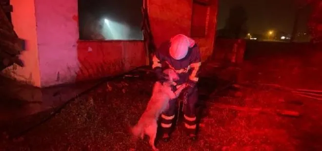 Düzce’de metruk evde yangın! İçerde olan köpeği itfaiyeciler son anda kurtardı