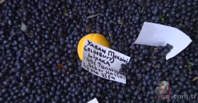 Mor renkte şifa var! Mor ve bordo sebzeler hastalıklarla savaşıyor 4