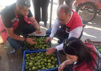 Germencik'te ilek tezgahları denetlendi