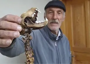 Artvin'de görenleri hayretler içinde bırakan olay! 55 santimlik iskelet