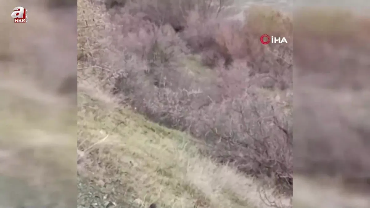 Balıkçının karşısına ayı ve yavrusu çıktı