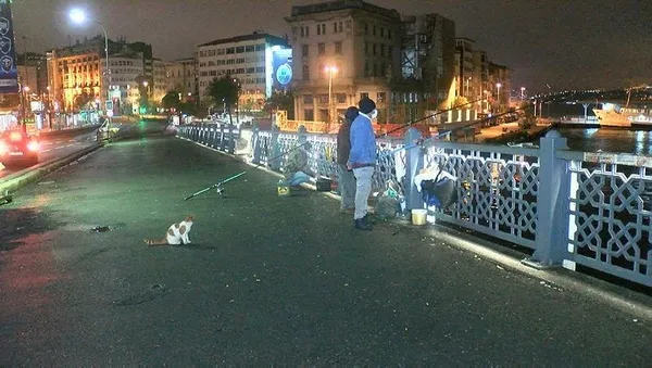 1606880640593.jpeg Kısıtlama sona erdi! Hemen oraya koştular - 5