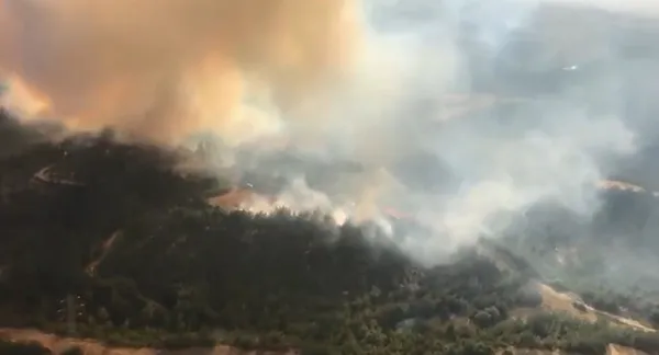 Son dakika | Adana’da korkutan orman yangın! Ekipler bölgede