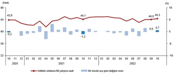 Son dakika | Ekim ayı işsizlik oranı açıklandı - 3