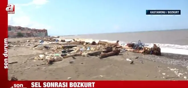 Sel sonrası Bozkurt! Karadeniz’in rengi değişti