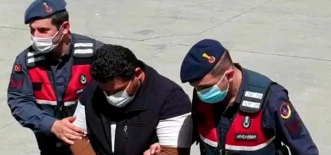 Muğla'daki 3 milyon TL'lik orman vurgununda yeni gelişme! Harekete geçildi