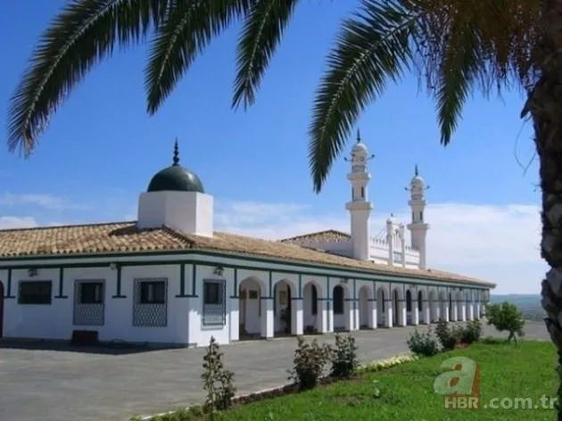 Dünyanın en ilginç camileri 19