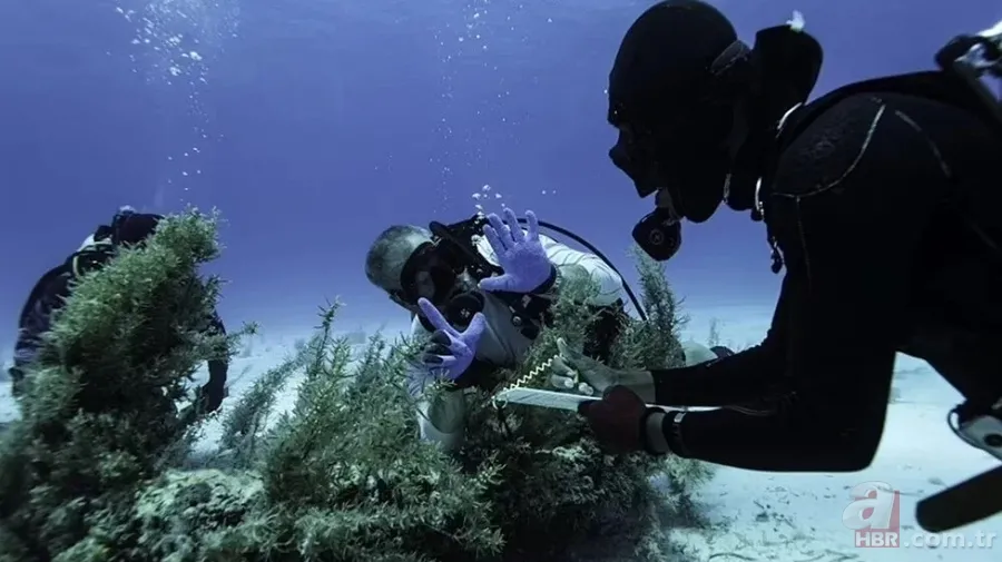 Batan geminin hazinesi 350 yıl sonra ortaya çıktı! İçindekilere paha biçmek mümkün değil 1