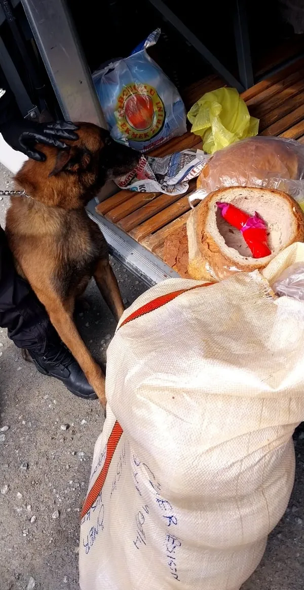 Gümüşhane'de ekmek arasına gizlenmiş ruhsatsız tabanca bulundu - 1