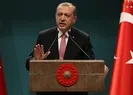 Cumhurbaşkanı Erdoğandan Nijerya Cumhurbaşkanıyla ortak toplantı