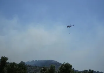 Balıkesir'de korkutan orman yangını