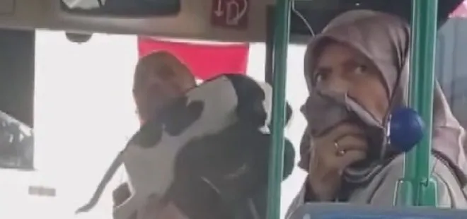 İstanbul’daki toplu taşımalarda yeni sorun! Köpekle otobüse binmeye çalışınca ortalık karıştı