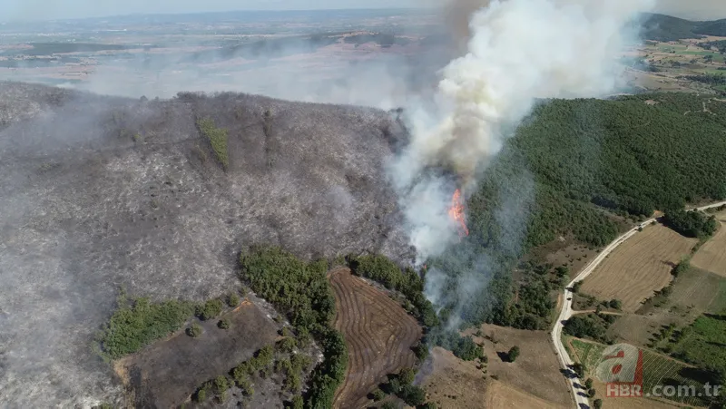 Bursa Yenişehir'de korkutan orman yangını! 10