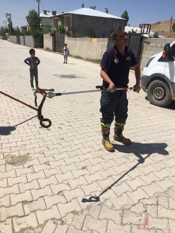 Sokakta korku dolu anlar! Yılan paniği ekipleri harekete geçirdi 3