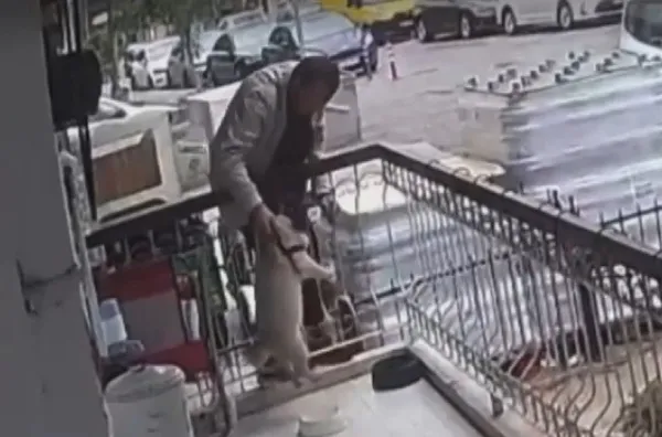 1651670060438.jpg İzmir'de akılalmaz görüntü! Balkondaki köpeği çaldı - 1