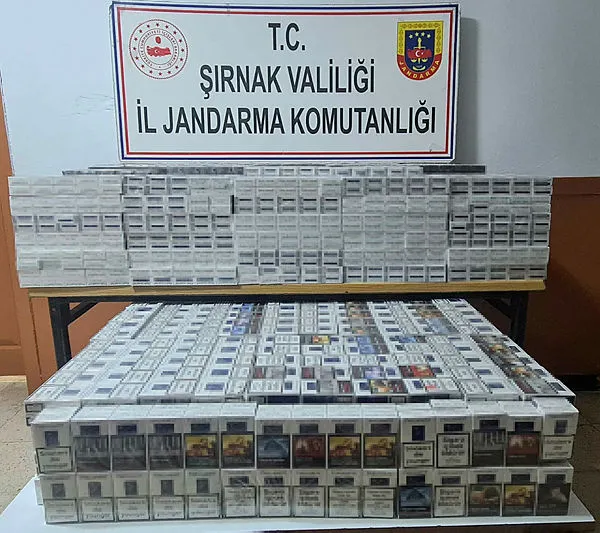 Şırnak’ta terörün finans kaynaklarına operasyon: 61 gözaltı - 2