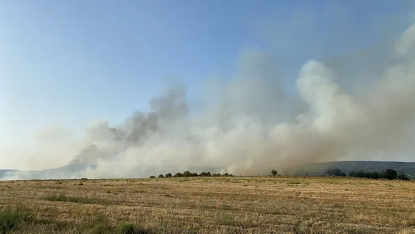 Manisa’daki orman yangını kontrol altına alındı - 2
