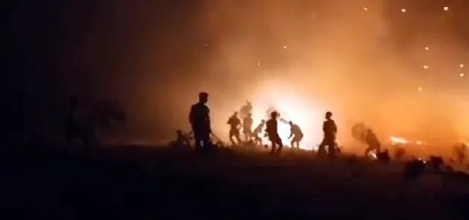 Siirt'te fıstık bahçesinde korkutan yangın! Hızla büyüyen alevler ormana sıçradı