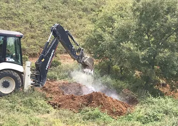 İznik'te 6 bin tavuk ölüsü bulundu