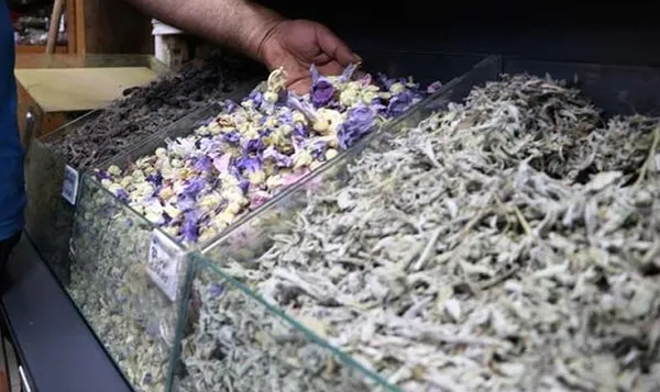 Koronavirüse savaş açan udi hindi kilosu 250 TL'den satılıyor! Dünya udi hindi peşinde - 9