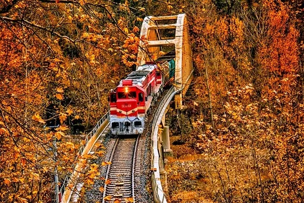 KPSS 60 puan yeterli! TCDD 17 faklı ilde ile Makinist alıyor! İŞKUR şartları tek tek açıkladı! İşte kadrolar…