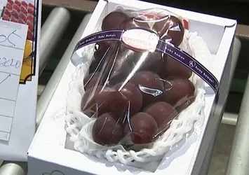 Japonya'da bir salkım üzüme 10 bin Euro ödedi