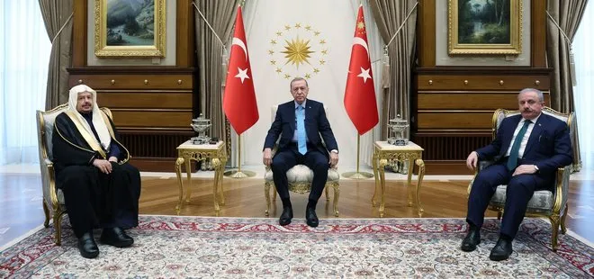 Başkan Erdoğan Suudi Arabistan Şura Meclisi Başkanı Al Şeyh’i kabul etti