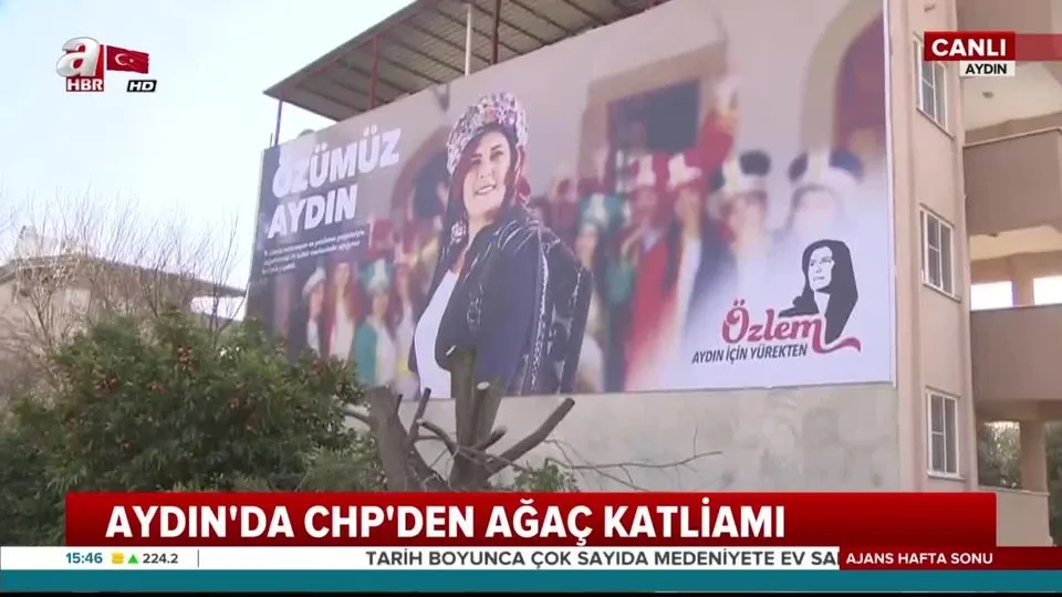 Aydın’da CHP’den ağaç katliamı!