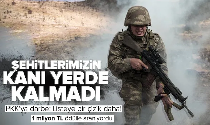 Son dakika: Şehitlerimizin kanı yerde kalmadı! PKK’ya darbe: Turuncu kategorideki terörist etkisiz hale getirildi