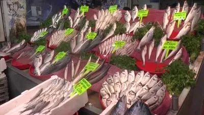 Gaziantep’te vatandaşlar balığa yöneldi