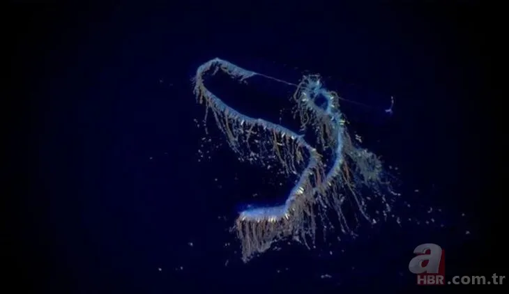 Bilim dünyasını şaşkına çeviren olay! Asırlara meydan okumuş! Tam 5 bin yıllık 14