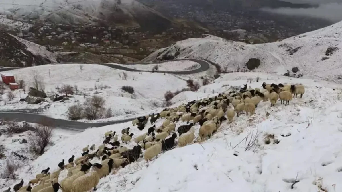 Hakkari'de kar yağışı