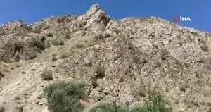 Kaya balının kilosunu 3 bin TL’den satıyor