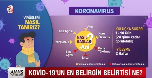 Kovid mi grip misiniz? Kovid-19'un en belirgin belirtisi ne? Uzman isim A Haber'e anlattı - 5