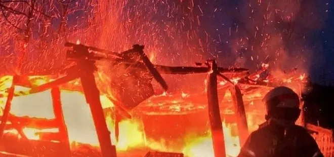 Son dakika: Bursa’da korkutan samanlık yangını