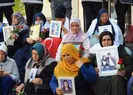 Diyarbakır annelerine 2 aile daha katıldı