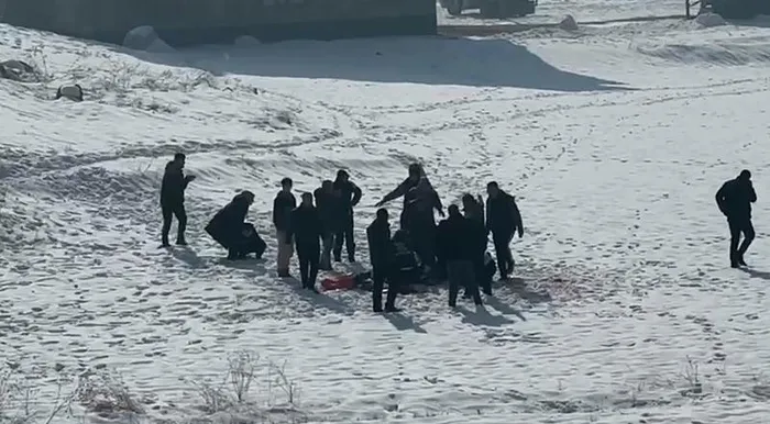 hakkaride-sahipsiz-kopek-vahseti-12-yasindaki-eslem-hayatini-kaybetti-1737210112264.jpeg (Foto: DHA)