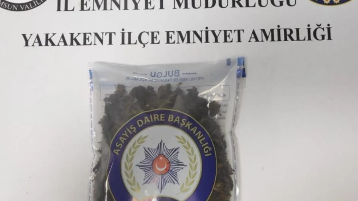 Samsun’da zehir tacirlerine darbe! 5 gözaltı